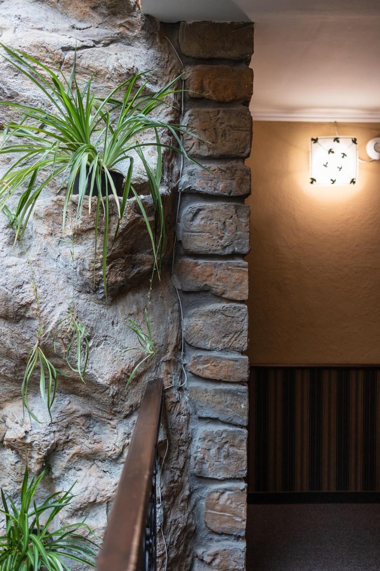ווידין Hotel Neptun מראה חיצוני תמונה